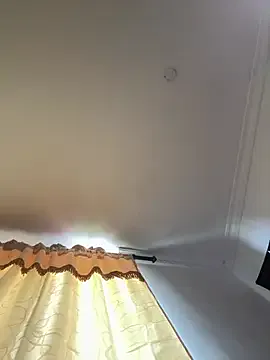 pawmistry Image 7