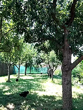 ericsex_tw – webcam model profile photo Image 6