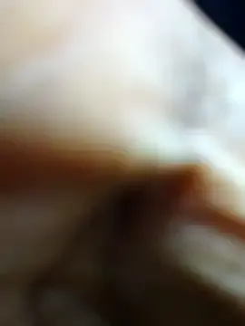 Savita-babita's Thumb Image