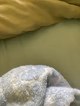 Sensational_grip cam model