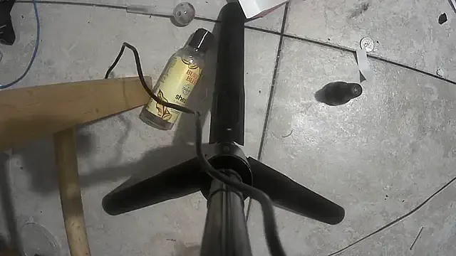 LT-333 – webcam model profile photo Image 3