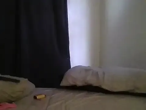 LT-333 – webcam model profile photo Image 5