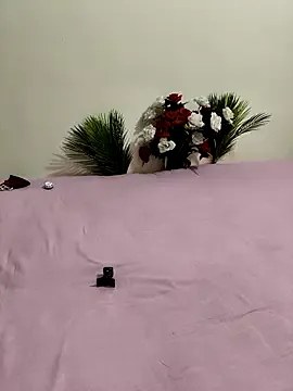 LT-333 – webcam model profile photo Image 13