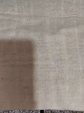 LT-333 – webcam model profile photo Image 8