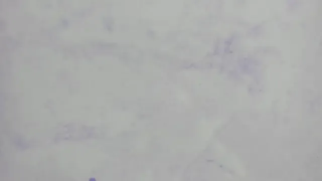 missdirtyhot_ – webcam model profile photo Image 5