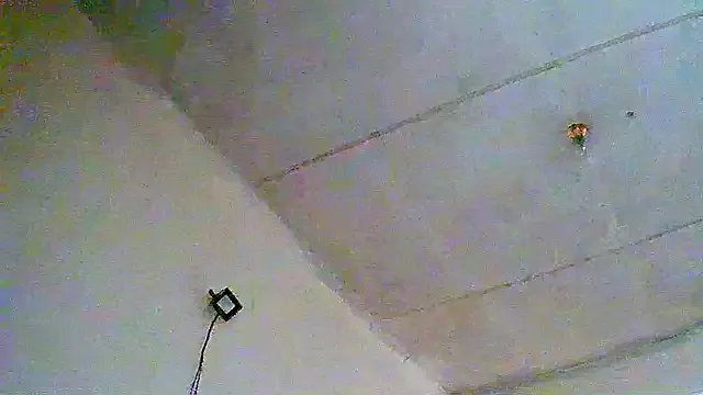 dirtypub – webcam model profile photo Image 16