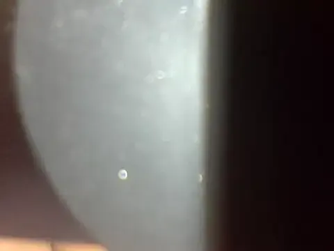 roouse – webcam model profile photo Image 4