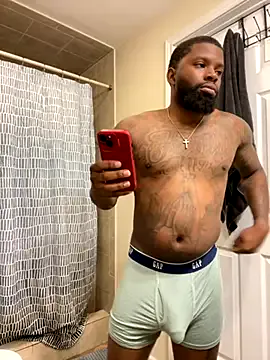 ManaMi-maru cam model Image 17