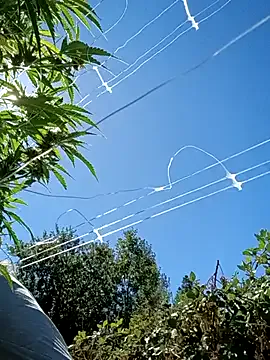 LOVE_MIREI_LOVE – webcam model profile photo Image 16