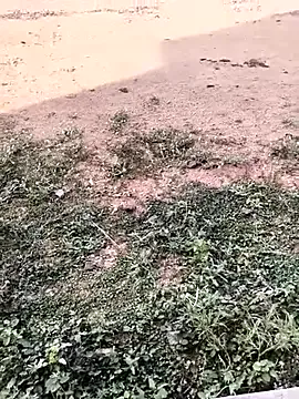 NANA_7 – webcam model profile photo Image 7