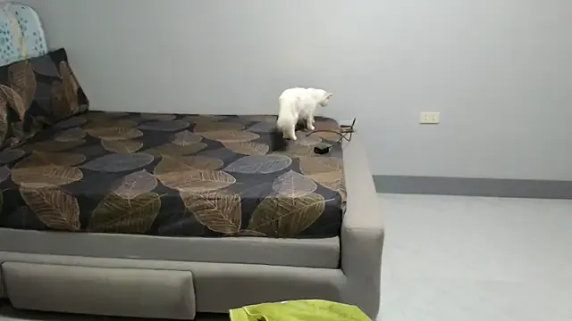 Luna_Samosienko – webcam model profile photo Image 6