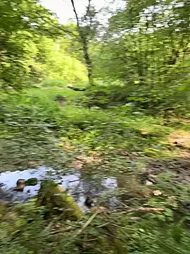 vanjbi45 Image 6