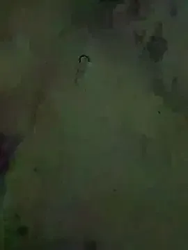 RollDolls – webcam model profile photo Image 14