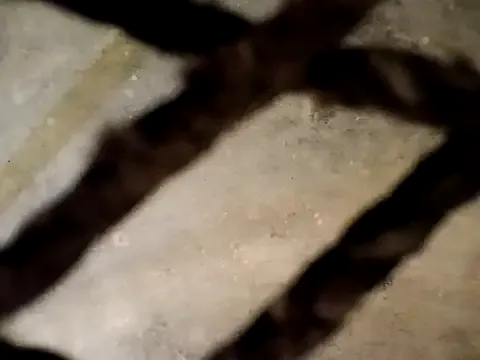 hina_porn – webcam model profile photo Image 8