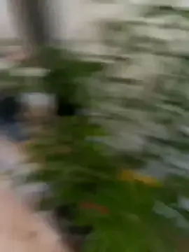 Your_Wish_4U – webcam model profile photo