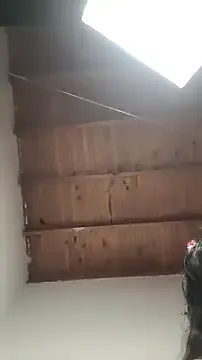 RollDolls – webcam model profile photo Image 13